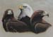 Eagles Eagles