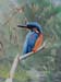 Kingfisher 2 Kingfisher 2