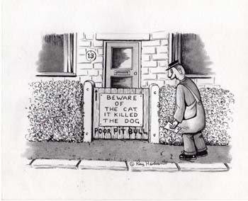 Beware Of Cat, It Killed Dog