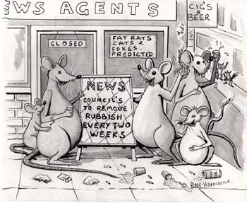 Rubbish Every 2 Weeks