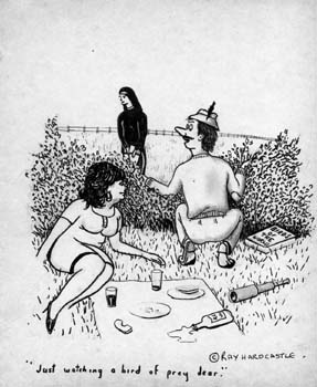 Watching A Bird Of Prey