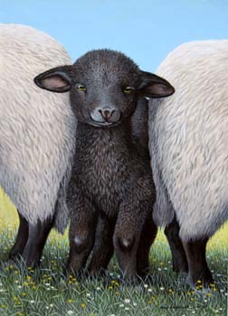 The Black Sheep