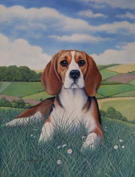 Beagle