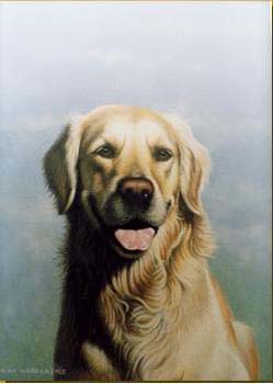 Retriever