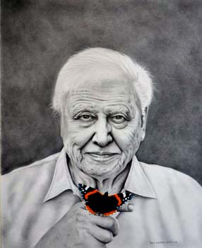 Attenborough-Butterfly