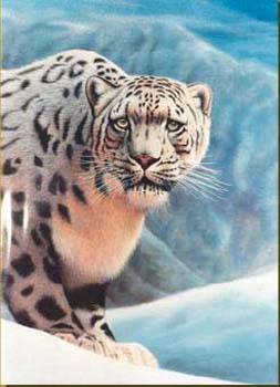 Snow Leopard 2