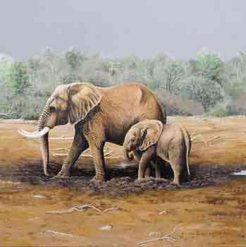 African Elephants