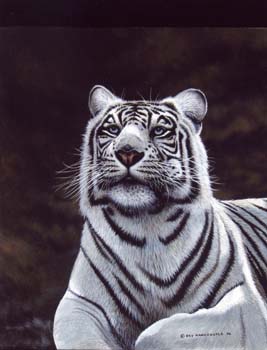 White Tiger