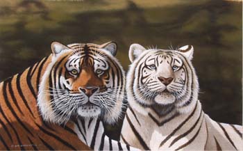Two Tigers